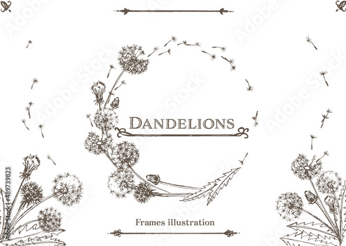 Dandelions