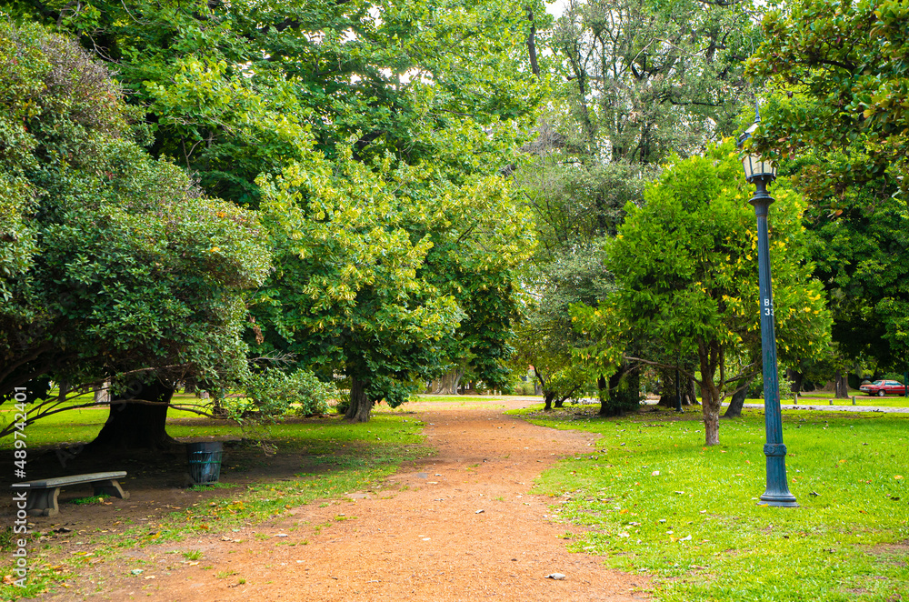 background of green summer park park