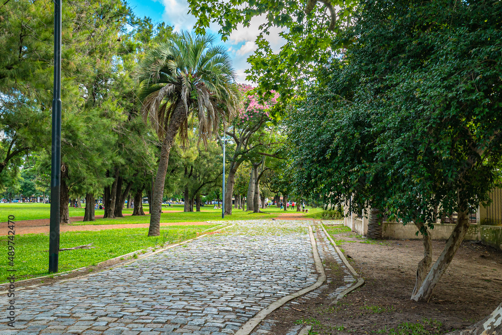 background of green summer park park