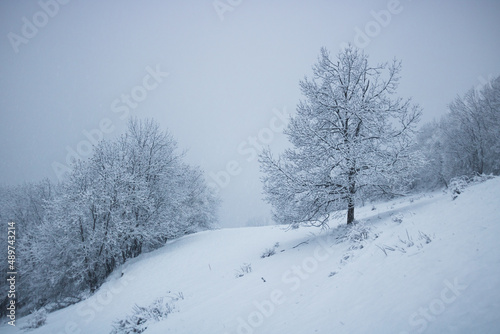 paysage sous la neige en hiver dans les alpes en France dans l'Oisans à Vaujany © jef 77