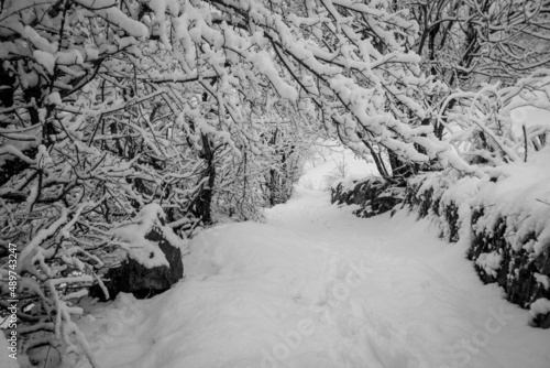 paysage sous la neige en hiver dans les alpes en France dans l'Oisans à Vaujany photo