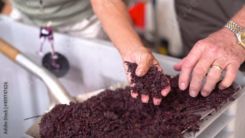 Winemaking Pomace and Fermentation - Slow Motion photo