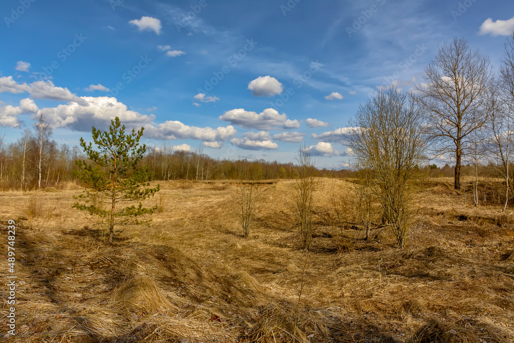 Bright sunny spring day in the countryside. Bright sunny spring day in the countryside.
