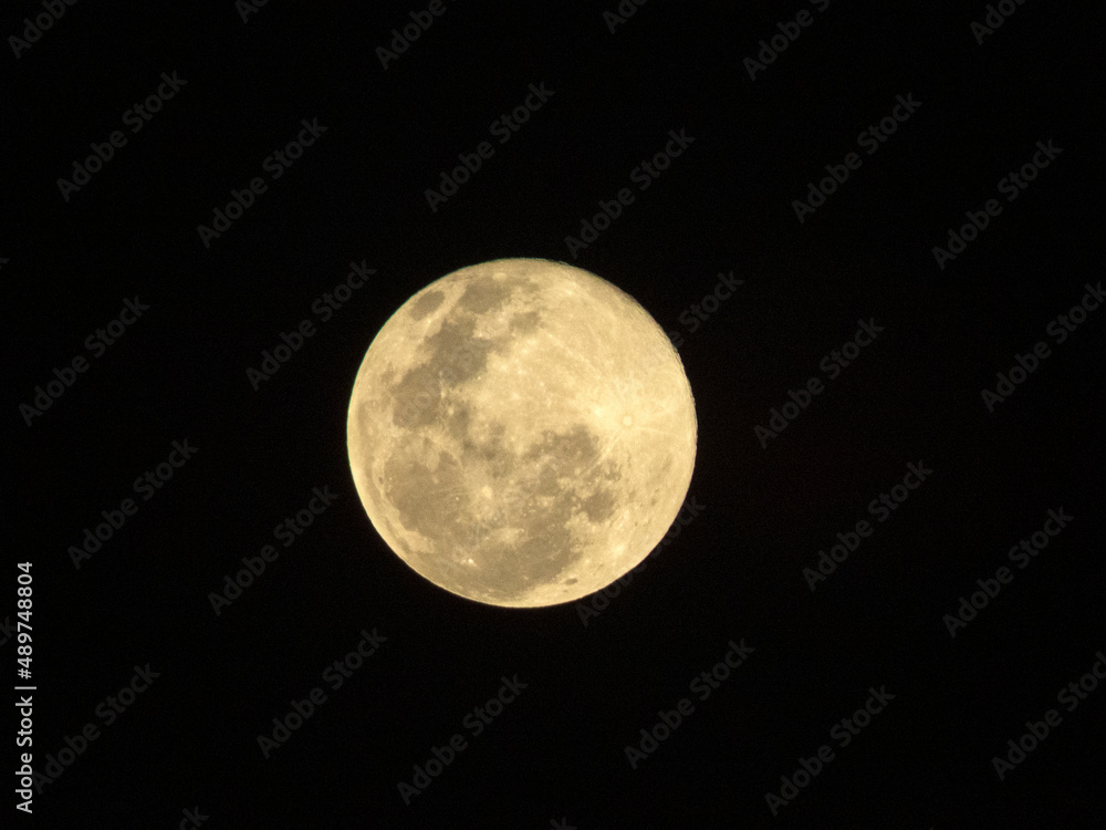 Obraz premium full moon in the night