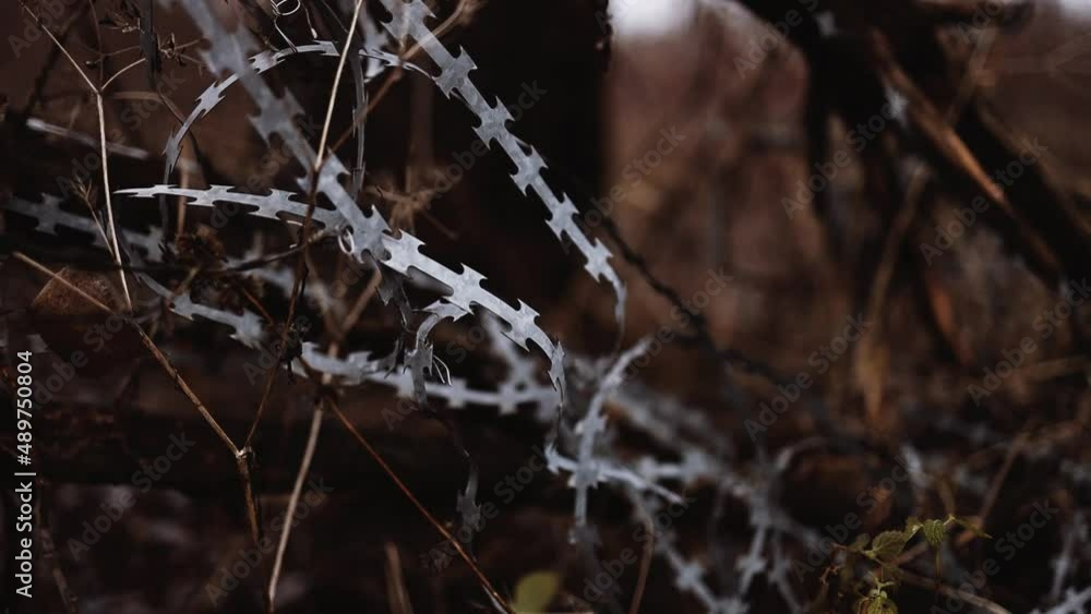Barbed wire against migrants. lines of barbed wire to demarcate the ...