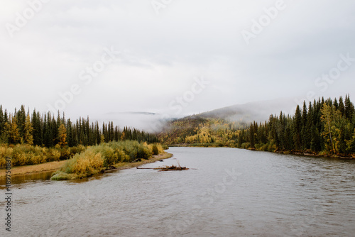 Canada, Yukon, Whitehorse, River and forest on cloudy and foggy day