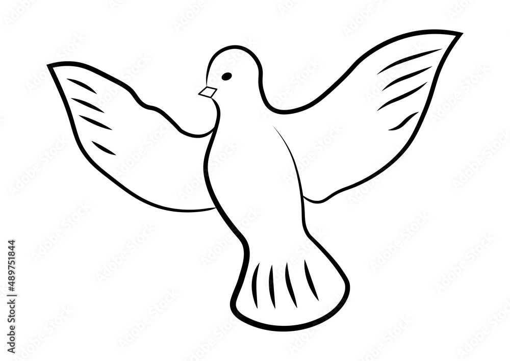Flying bird - dove or pigeon with its wings spread line art vector icon for nature apps and websites Flying bird - dove or pigeon with its wings spread line art vector icon for nature apps and websites