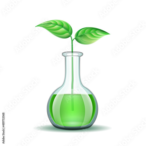 Genetically modified sprout inflask. Biotechnology symbol. Realistic Vector