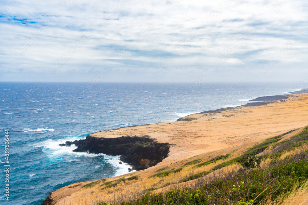 Rocky hawaii coast