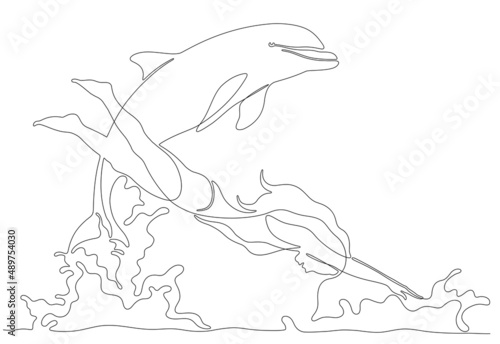 Continuous line art of beautiful young woman in swimsuit diving into sea water together with a dolphin. 