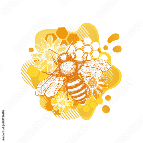 Yellow bee and flower sketch template in modern style on white background. Summer natural organic food. Line art.