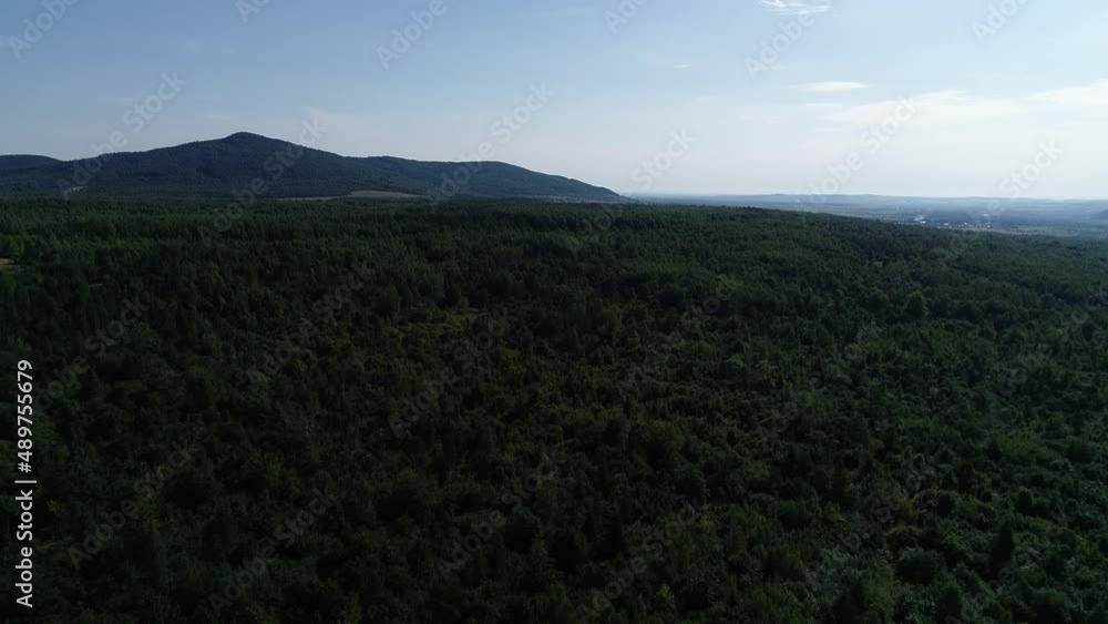 Beautiful ukrainian forest in mountains in the Summer time. Green woods under blue sky in the Spring time. Beautiful ukrainian forest in mountains in the Summer time. Green woods under blue sky in the Spring time.