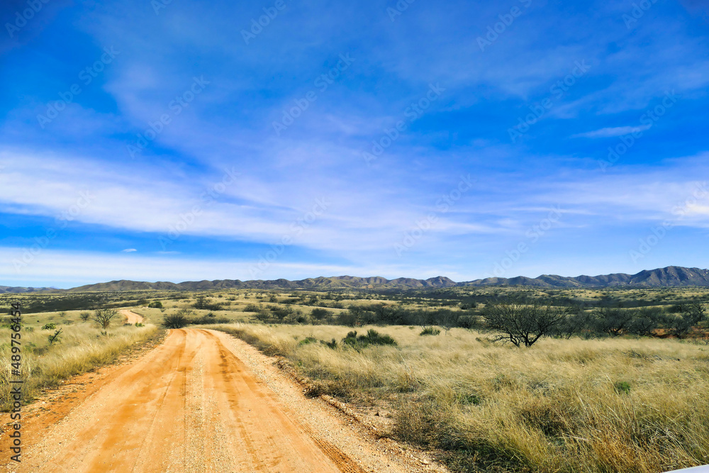 Unpaved road through the grassy hills of the semi desert of Buenos Aires National Wildlife Refuge, Pima County, Arizona, USA
