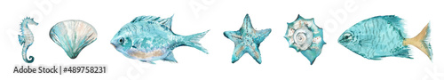 Fotografia Watercolor Fishes Sea shells Starfishes Scallop and seahorse
