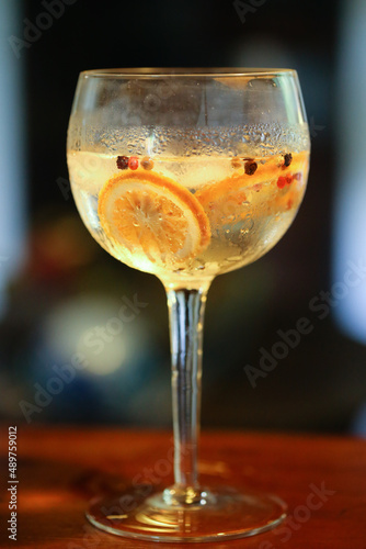 drink de gin com laranja desidratada e sementes servido em uma taça redonda e generosa, capturado durante um vibrante evento photo