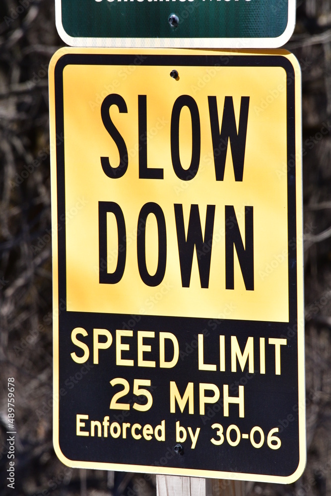 Fototapeta premium Slow Down Sign