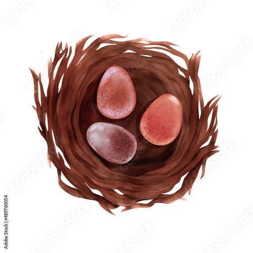 Hand drawn watercolor bird nest with pastel eggs isolated at white background. Easter card design.