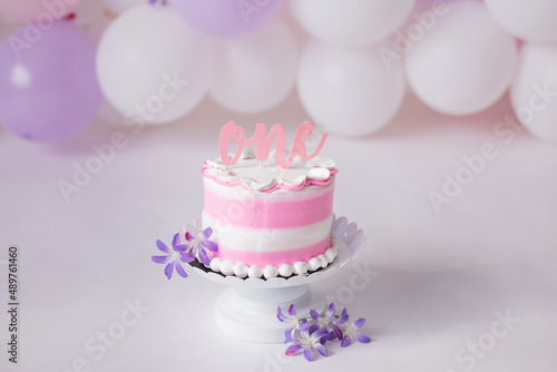  Backdrops for celebration of 1 year baby  girl  smash the cake photo sessions