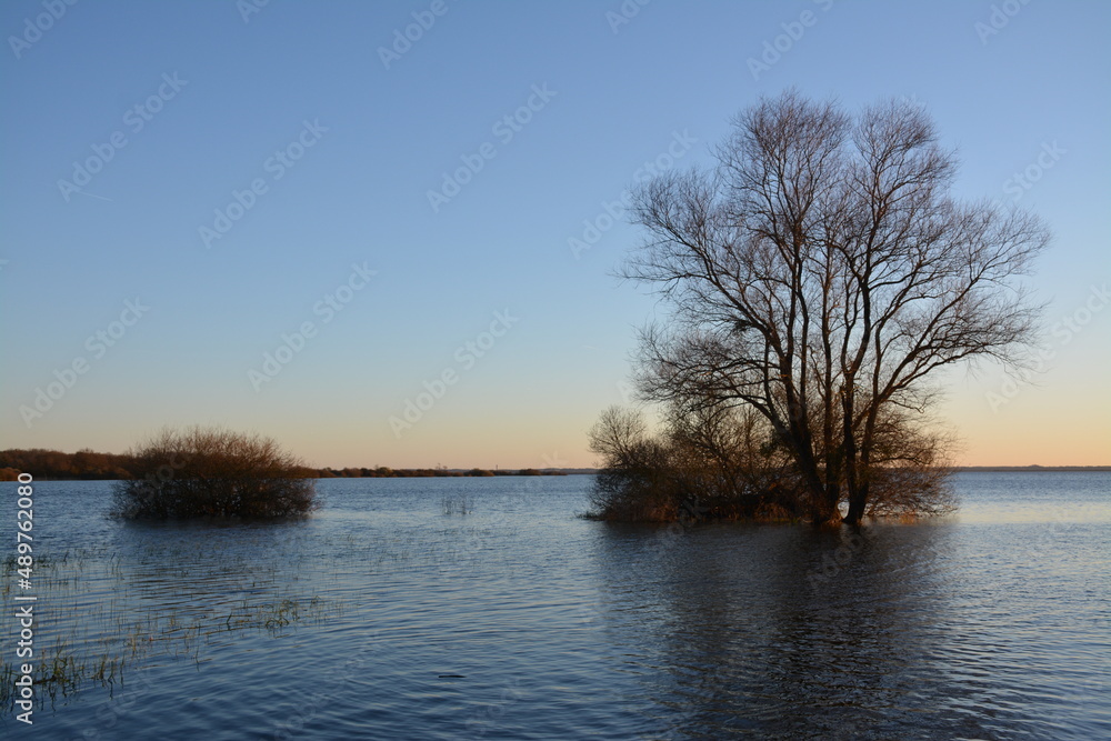 Bouaye - Lac de Grand-Lieu Bouaye - Lac de Grand-Lieu