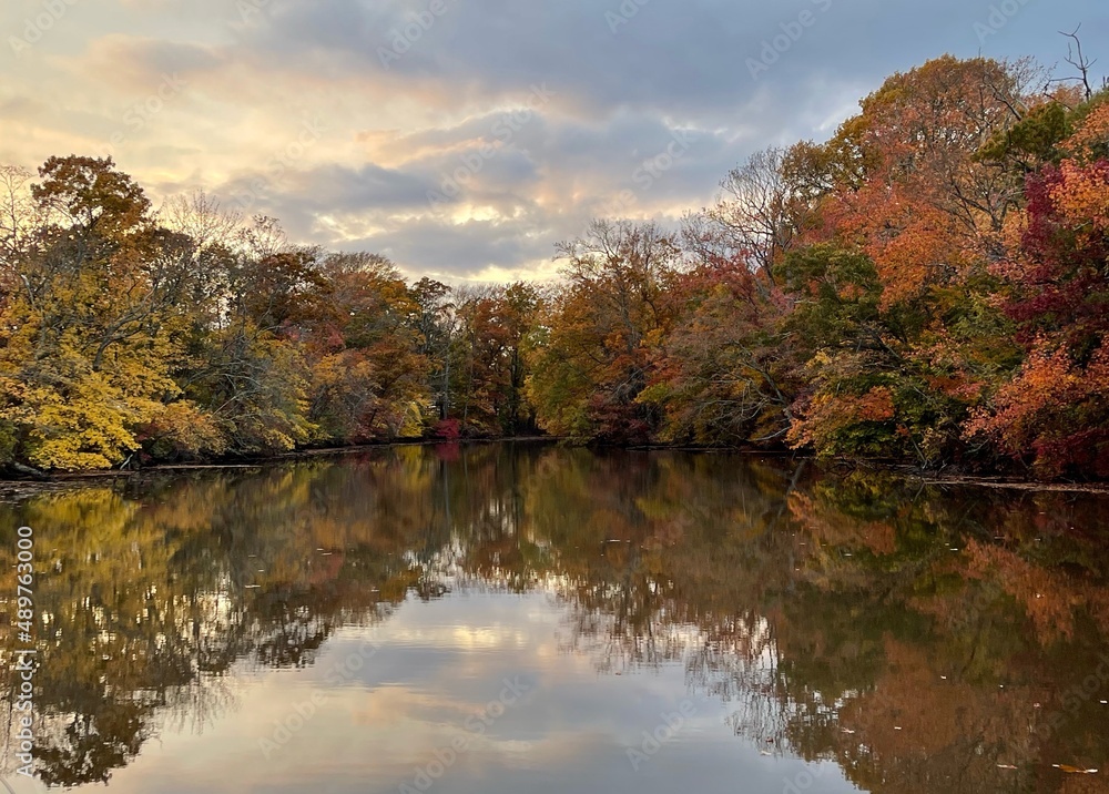 autumn in the park