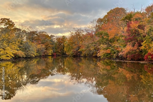 autumn in the park