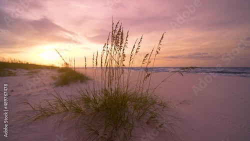 Gental over sandy beach with an ocean breeze at a vacation destination on the Gulf of Mexico photo