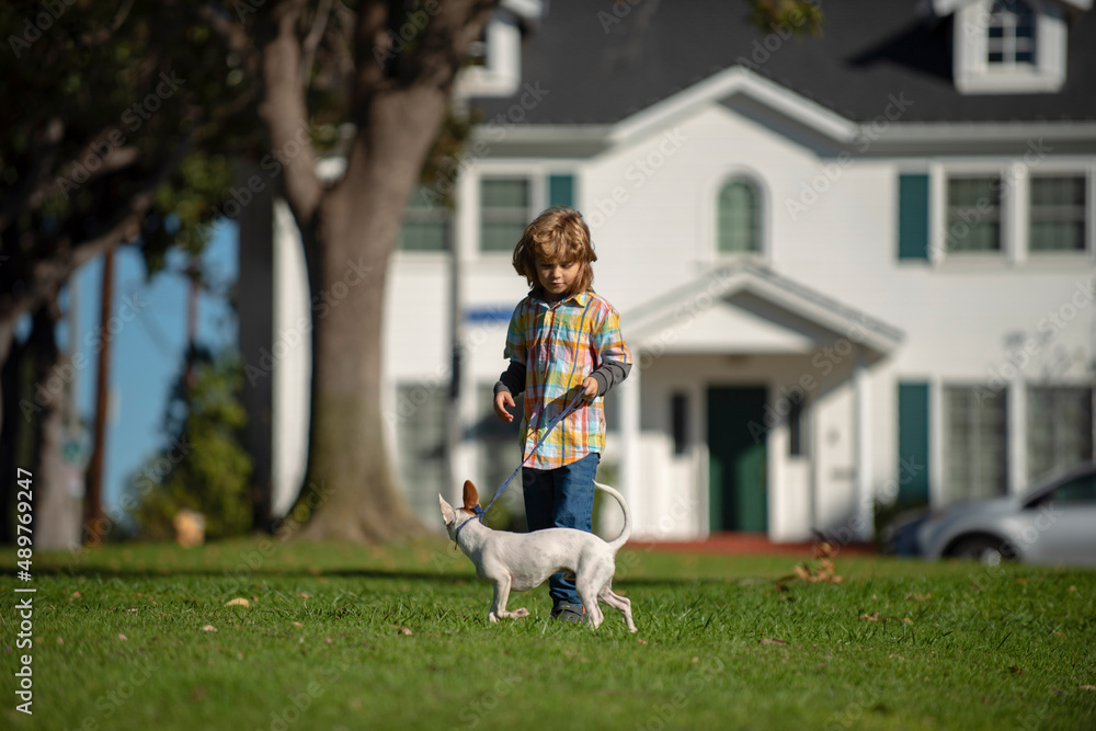 Young boy child with dog playing in garden.