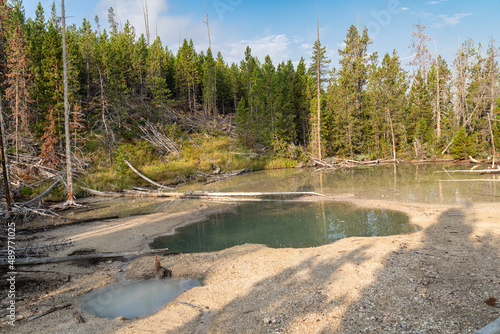 Hot spring geothermal feature in the Norris Geyser Basin of Yellowstone National Park