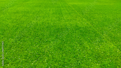 Abstract Defocused Green grass carpet with a few styrofoam grains in the Cicalengka Tourism area, Indonesia