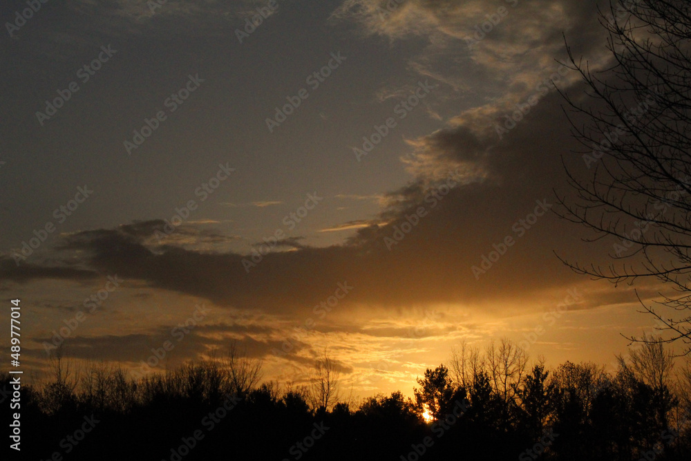 Fototapeta premium sunset over the field
