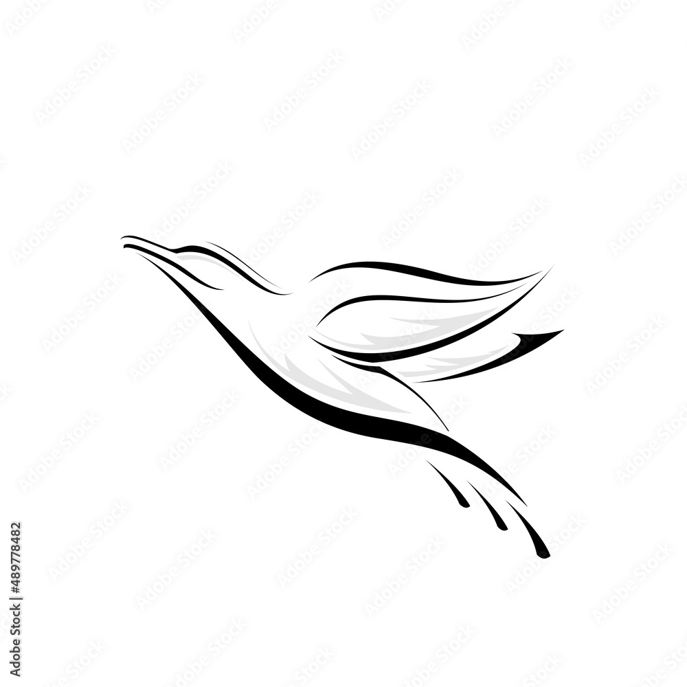outline bird logo design outline bird logo design