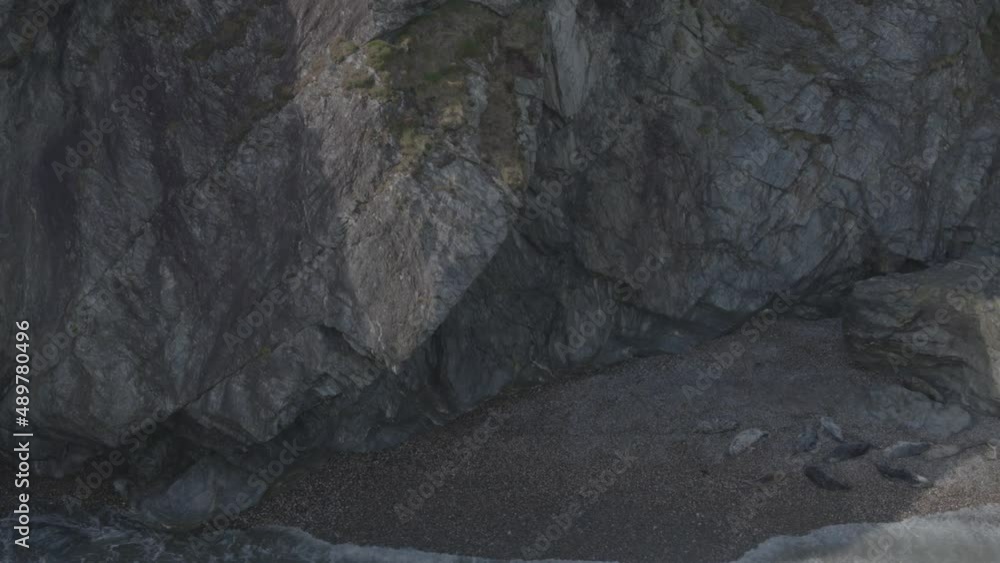 Panning from left to right, the shot begins with a view of a rocky cliff with sign of coastal erosion dressed with green moss. The camera moves to reveal a family of seals sleeping on a sandy beach. Panning from left to right, the shot begins with a view of a rocky cliff with sign of coastal erosion dressed with green moss. The camera moves to reveal a family of seals sleeping on a sandy beach.