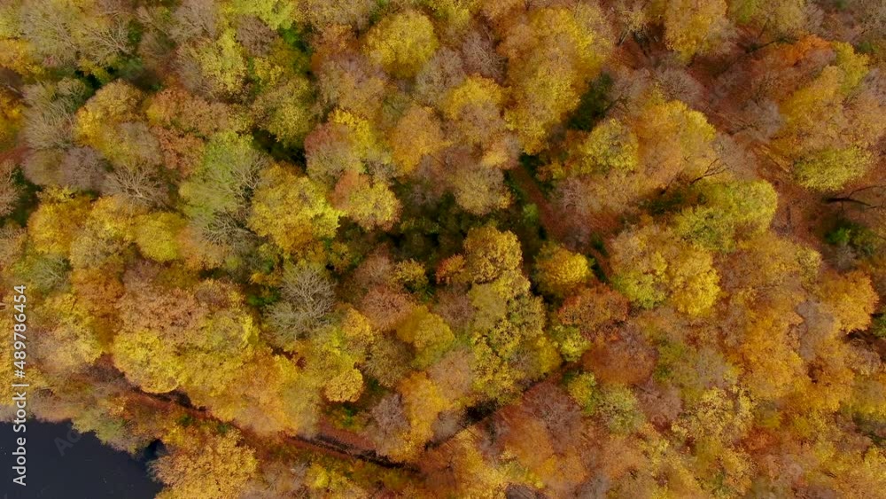 Scenic aerial flight over mist above forrest lake at sunrise, 4K footage. Colorful autumn trees at early morning light. Epic glory inspiration background. Pałac Bielinskich w Otwocku Wielkim Scenic aerial flight over mist above forrest lake at sunrise, 4K footage. Colorful autumn trees at early morning light. Epic glory inspiration background. Pałac Bielinskich w Otwocku Wielkim