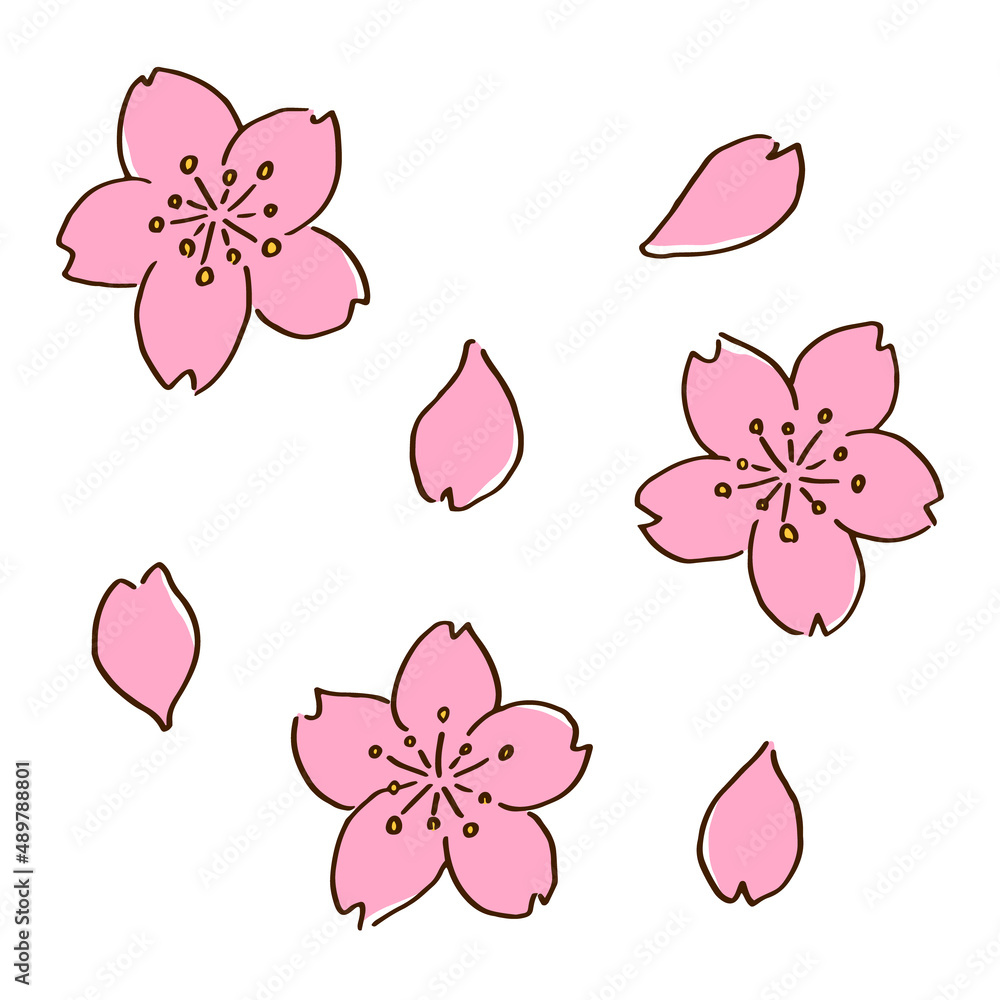 Fototapeta premium 桜の花 手描き風