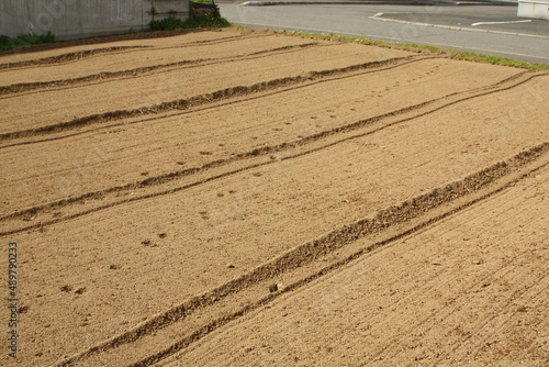 耕された畑に残された猫の足跡 photo