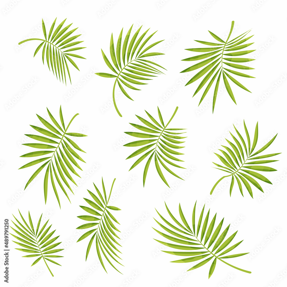 Set of tropical leaves. Different green leaf collection. Colorful vector illustration on white background in cartoon style. Set of tropical leaves. Different green leaf collection. Colorful vector illustration on white background in cartoon style.