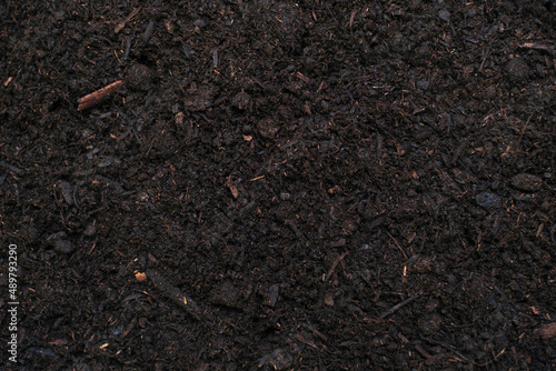 Black chernozem soil close-up, texture and natural background. photo