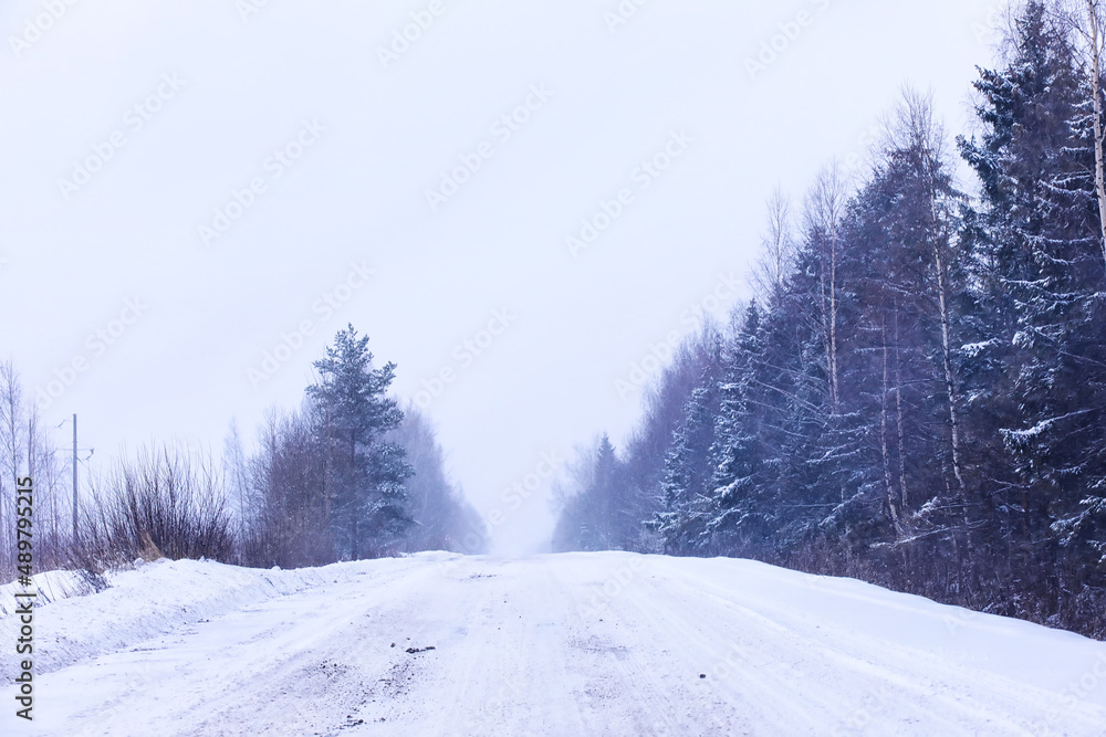 Obraz premium The forest is covered with snow. Frost and snowfall in the park. Winter snowy frosty landscape.