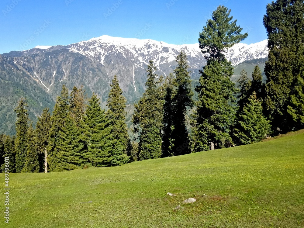 Natural beautiful green scenery photography of highest peaks in kaghan during the month of July 2021