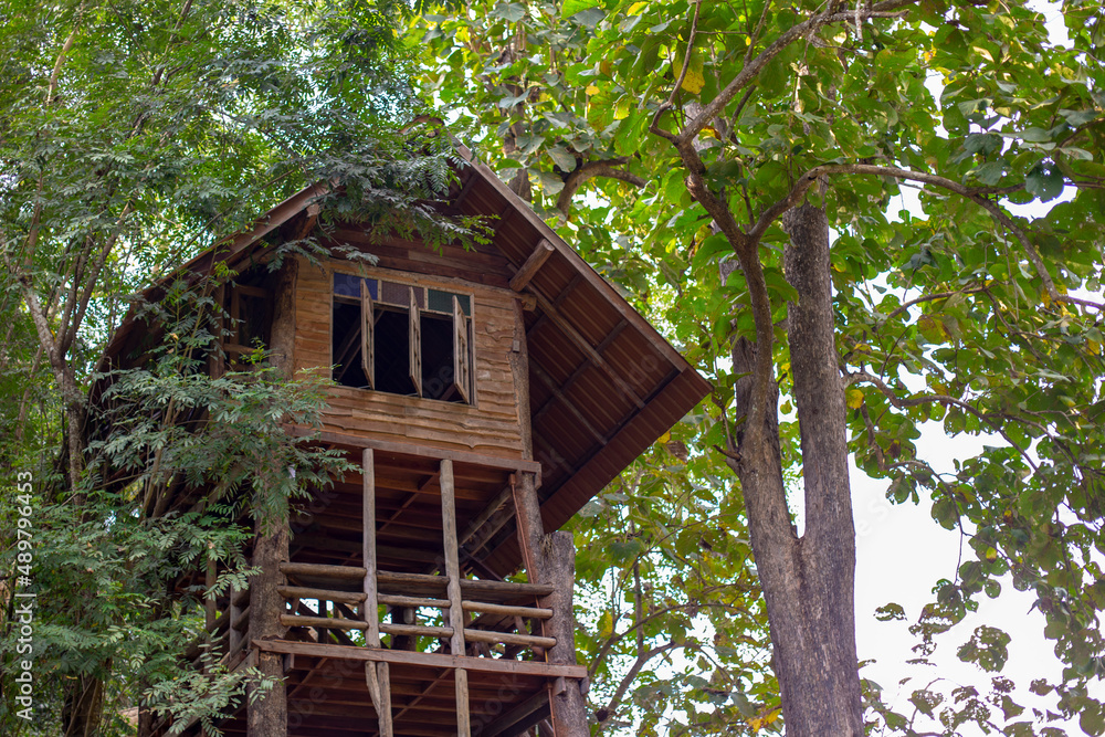 Photo of wooden house in forest
