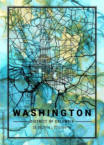 Washington Flowercup Marble Map photo