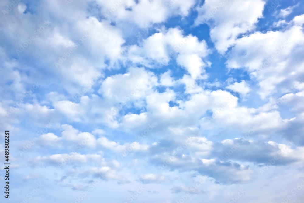 Fototapeta premium 綿雲の群れが青空を覆う