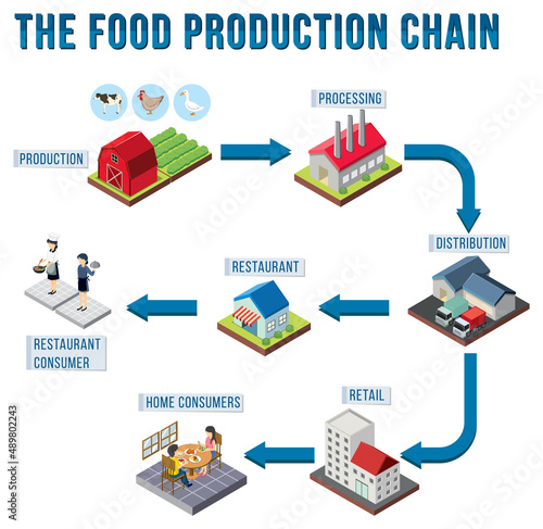 Diagram of supply chain management