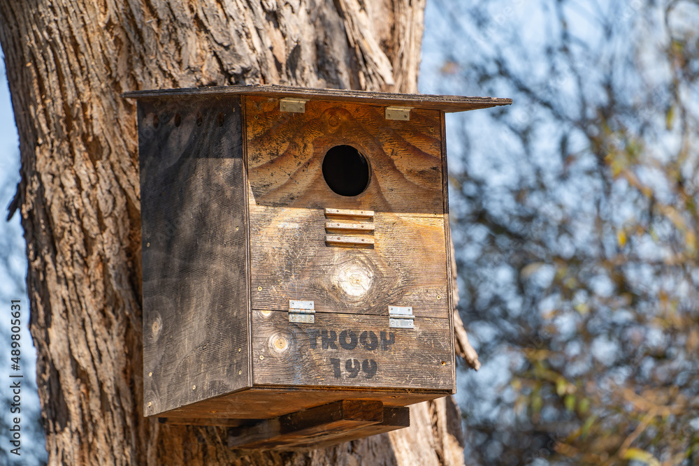 Large birdhouse on a tree in the park.