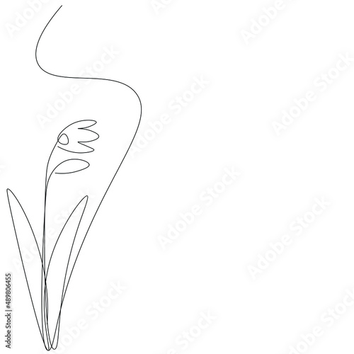 Snowdrop flower silhouette line drawing vector illustration