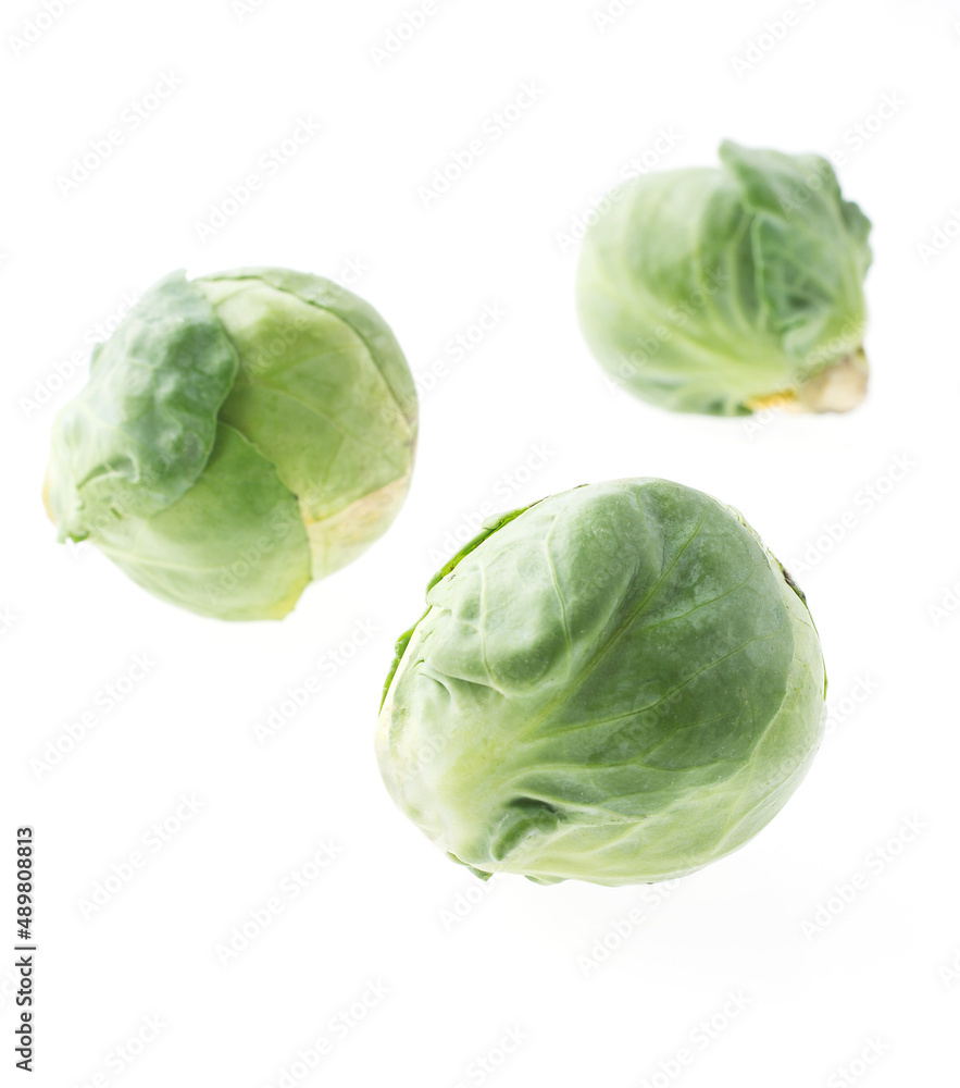 芽キャベツ 芽キャベツ