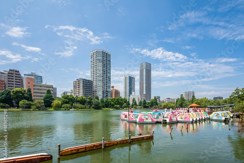 Japan, Kanto Region, Tokyo, Pedal boats moored on shore of Shinobazu Pond in summer photo