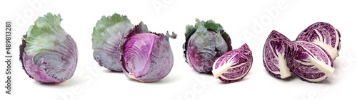 Vászonkép fresh red cabbage on a white background