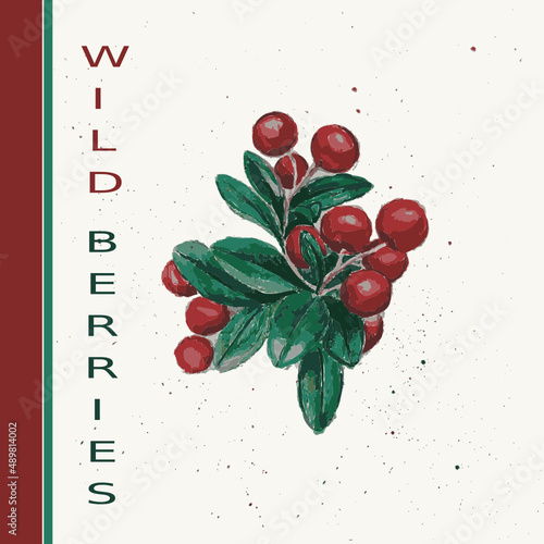 cranberry / клюква / брусника / иллюстрация / природа / акварель / открытка / ягоды / berry