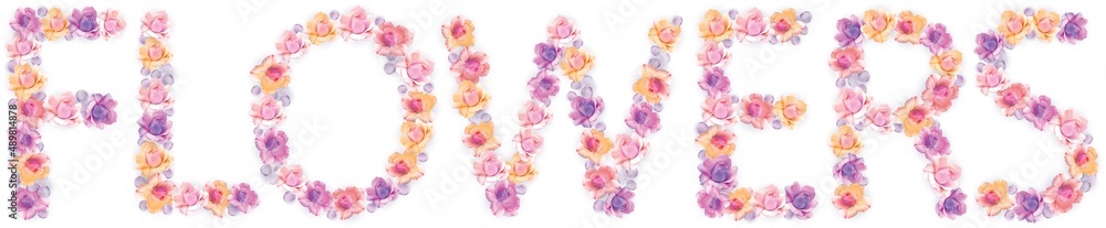 Flowers - botanical rose flowers romantic cute illustration. Flowers - botanical rose flowers romantic cute illustration.